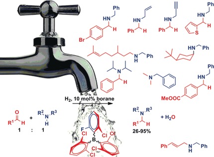 Expanding the Boundaries of Water-Tolerant Frustrated Lewis Pair Hydrogenation: Enhanced Back Strain in the Lewis Acid Enables the Reductive Amination of Carbonyls